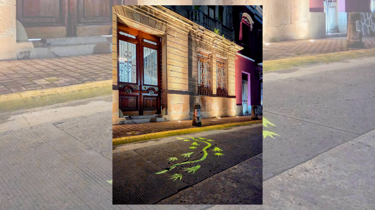 Se fuga cocodrilo en Tepic, llega al Museo Regional