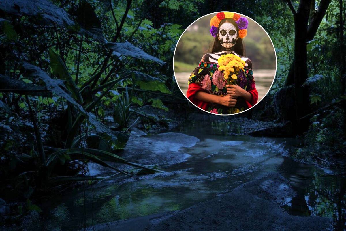 Recorridos Nocturnos de Día de Muertos en Bosque Los Colomos: Fechas y Detalles 2025